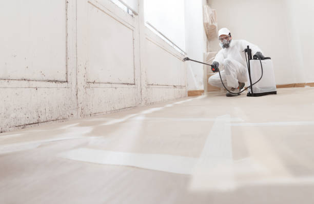 24/7 Emergency Mold Inspection experts in Maplewood, NJ