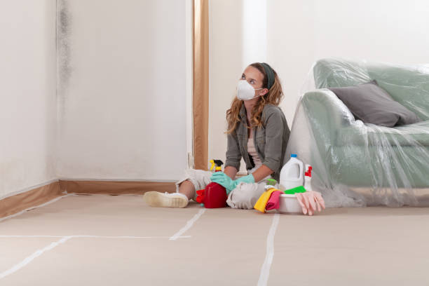 Reliable Mold Inspection contractor in Maplewood, NJ by WQB Mold Removal